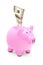 A pink piggy bank and 100 US dollar in it