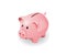 Pink piggy bank