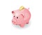 Pink piggy bank