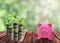 Pink piggy bank and coin growth on wood table top