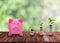 Pink piggy bank and coin growth on wood table top at green nature