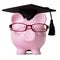 Pink piggy bank college student mortar board graduation hat glasses