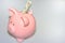 Pink Piggy Bank with Dollars in slot