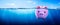 Pink Piggy Bank Drowning In Clear Blue Waters - Financial Debt