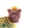 Pink piggy bank with golden crown and stack of US dollars in front isolated over white background with copy space