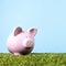 Pink piggy bank grass blue sky freedom finance retirement saving concept