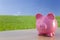 Pink Piggy Bank In A Green Field