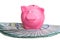 pink piggy bank standing on a fan of a pile of american dollars on a white background