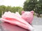 Pink Piggy bank with umbrella On a rainy day Saving money for any storm problem will come concept for finance, insurance,