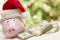 Pink Piggy Bank Wearing Santa Hat Near Stacks of Money on Snowflakes