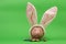 Pink piggy bank with white rabbits ears and chocolate easter eggs on green background