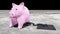 Pink piggy is chained