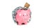 Pink Piggybank