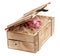 Pink piggybank in box with wood-wool