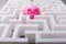 Pink Piggybank In The Centre Of Maze