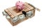 Pink piggybank on wooden case with dollar notes