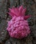 Pink pineapple decor on a background of tree bark