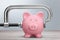 Pink Pink piggy bank and clamp