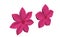 Pink plastic 3D illustration five petal flowers render