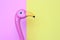 Pink plastic flamingo