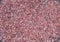 Pink plastic polymer material