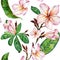 Pink plumeria flower on a twig. Seamless floral pattern. Isolated on white background. Watercolor painting.