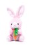 Pink plush rabbit with carrot, isolate