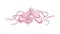 Pink Pointe Shoes with Satin or Silk Ribbon Vector Illustration