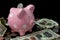 Pink Polka Dot Piggy Bank with Cash