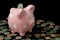 Pink Polka Dot Piggy Bank with Cash