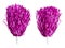 Pink pompoms for cheerleaders hold sports cheer on white background.