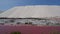 Pink Ponds In Man-made Salt Evaporation Pans In Camargue, Salin de Guiraud, France