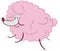 Pink poodle