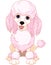 Pink poodle