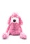 pink poodle plush sitting on white background