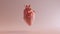 Pink Porcelain Anatomical Heart