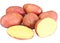 Pink Potato Sweet Batata Isolated on White Background