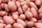 Pink potatoes