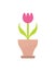 Pink Potted Flower, Color Vector Illustration