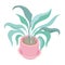 pink potted plant