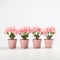 Pink Potted Roses: Plastic, Minimal Retouching, Imitated Material