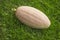 Pink pumpkin on green grass. Harvest of pumpkins