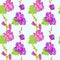 Pink-purple Alcea rosea common hollyhock, mallow flower stem with green leaves and buds,  hand painted watercolor illustration
