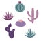Pink, purple and blue house plants cactus peyote haworthia aloe sansevieria icon set vector