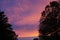 Pink and Purple Clouds between tree silhouettes