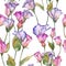 Pink and purple eustoma. Floral botanical flower. Wild spring leaf wildflower pattern.