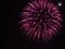 Pink and purple firework burst in the black sky on the Fourth of July