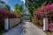 Pink Purple Flower Bushes Lining Long Driveway from Street Welcoming Entrance Landscaping