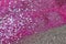 Pink and Purple glitter and sequins background