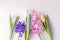 Pink and purple hyacinths and white and yellow tulips on a light background.